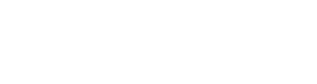 Tampa Driveway